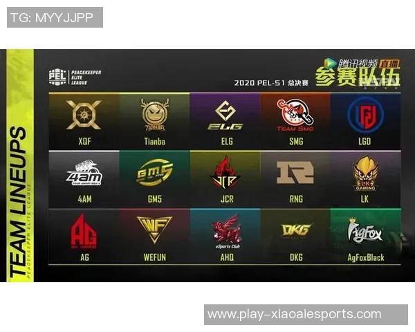 esports数据和平精英赛场上BLG反击策略分析及其成败得失探讨